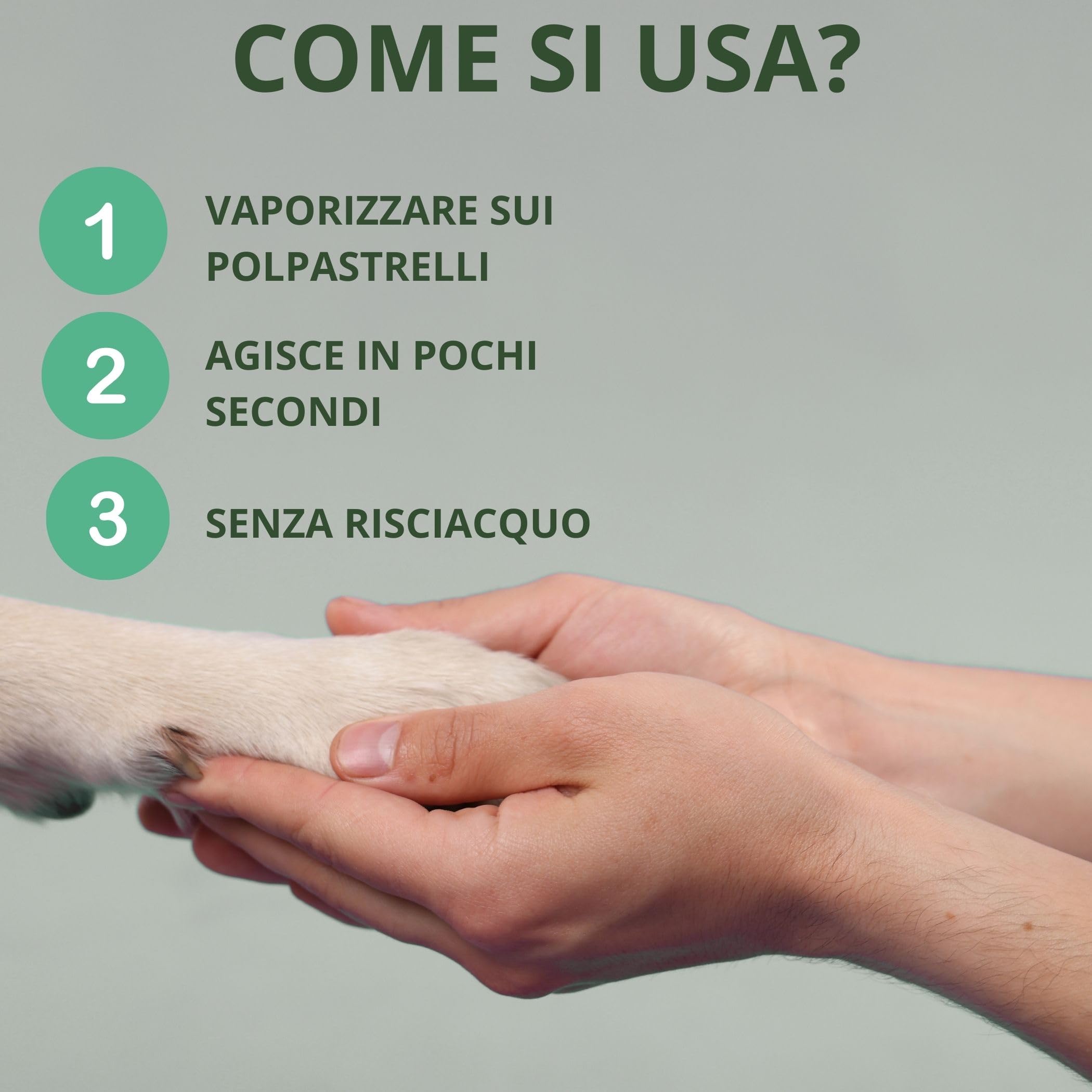 Kit Shampoo secco per cani senza risciacquo 300ml, Spray districante sciogli nodi pelo cane 300 ml e Spray pulisci zampe 300ml, formula naturale con olio di neem timo e argan - Made in Italy