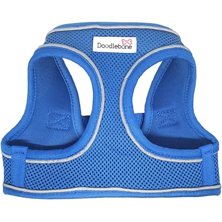 doodlebone snappy harness