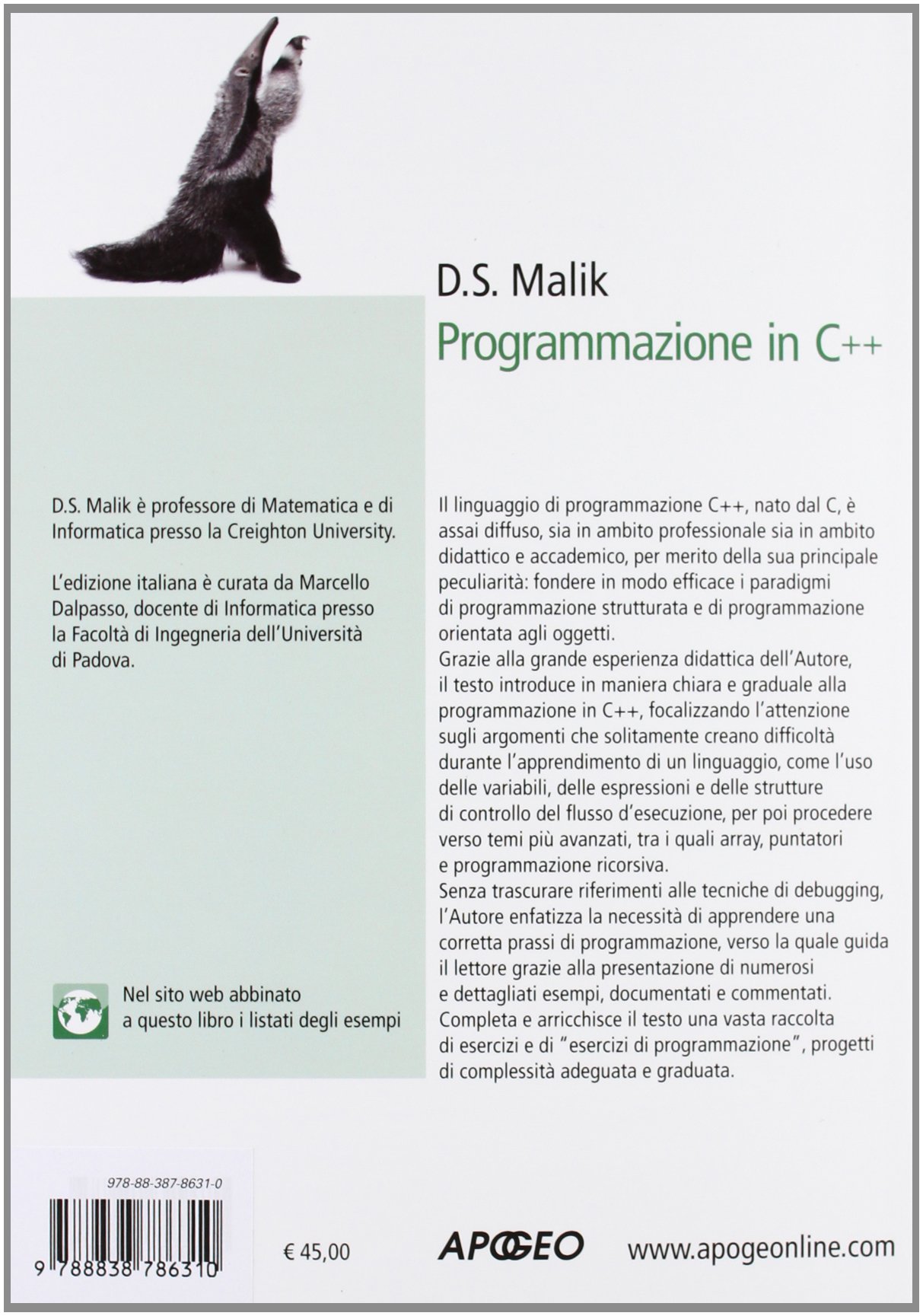 Programmazione in C++