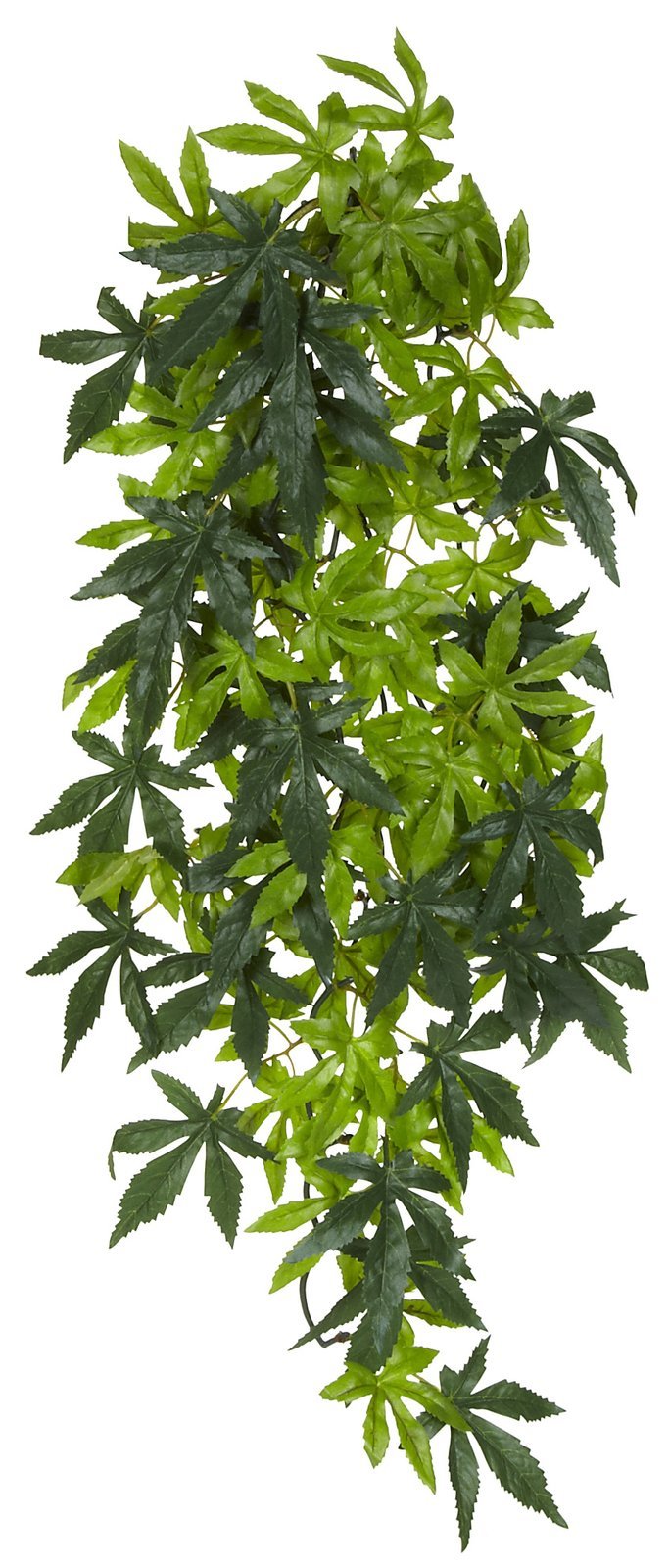 Exo Terra Jungle Plant - Amapallo - Small - 4