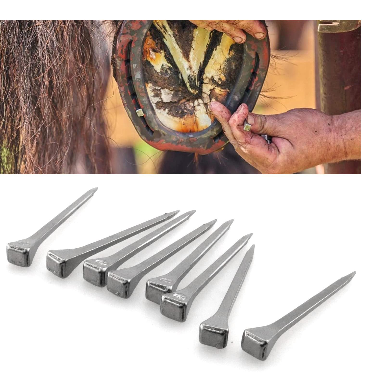 40 Pièces Clou de Fer à Cheval, 54 mm Clous pour Sabots, Acier Carbone Fer à Cheval Clous, pas Facile Rouiller, Accessoire de Fer à Cheval pour Fixer Fers Cheval, Argent