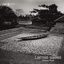 Download Larmes salées PDF