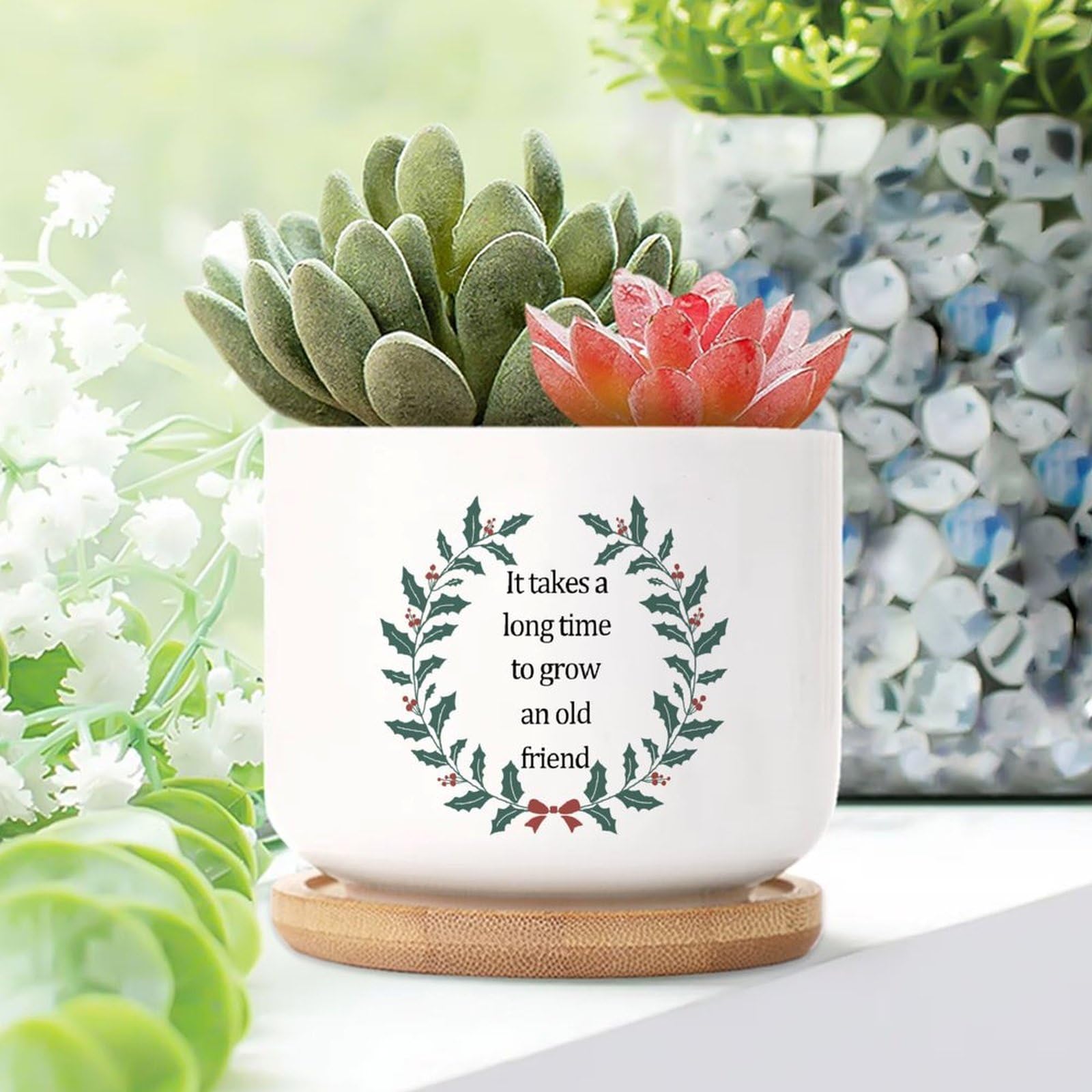 Yelolyio It Takes A Long Time to Grow An Old Friends Planters Ceramic Motivational Quote Round Flower Pot With Drainage Holes And Bamboo Tray Pot For Home Office Decoration
