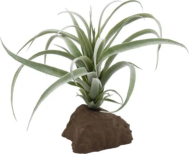 Lucky Reptile Tillandsie - Künstliche Terrarienpflanze für Leopardgecko Terrarium