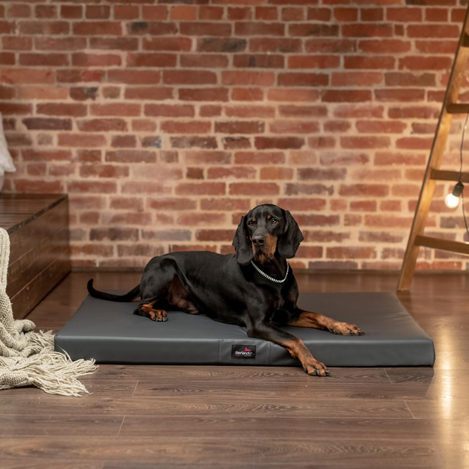 tierlando® Orthopädische Hundematratze Alice Easy CLEAN Kunstleder Visco-Hundematte Größe: 100x80cm | Farbe: 02 Graphit