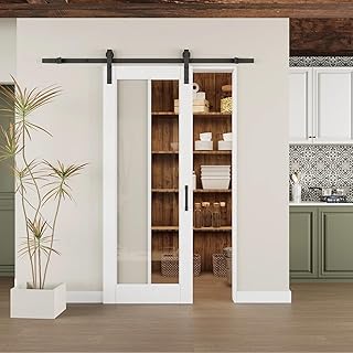 Modern White Primed and 1-Lite Clear Glass Sliding Barn Door with Instal...