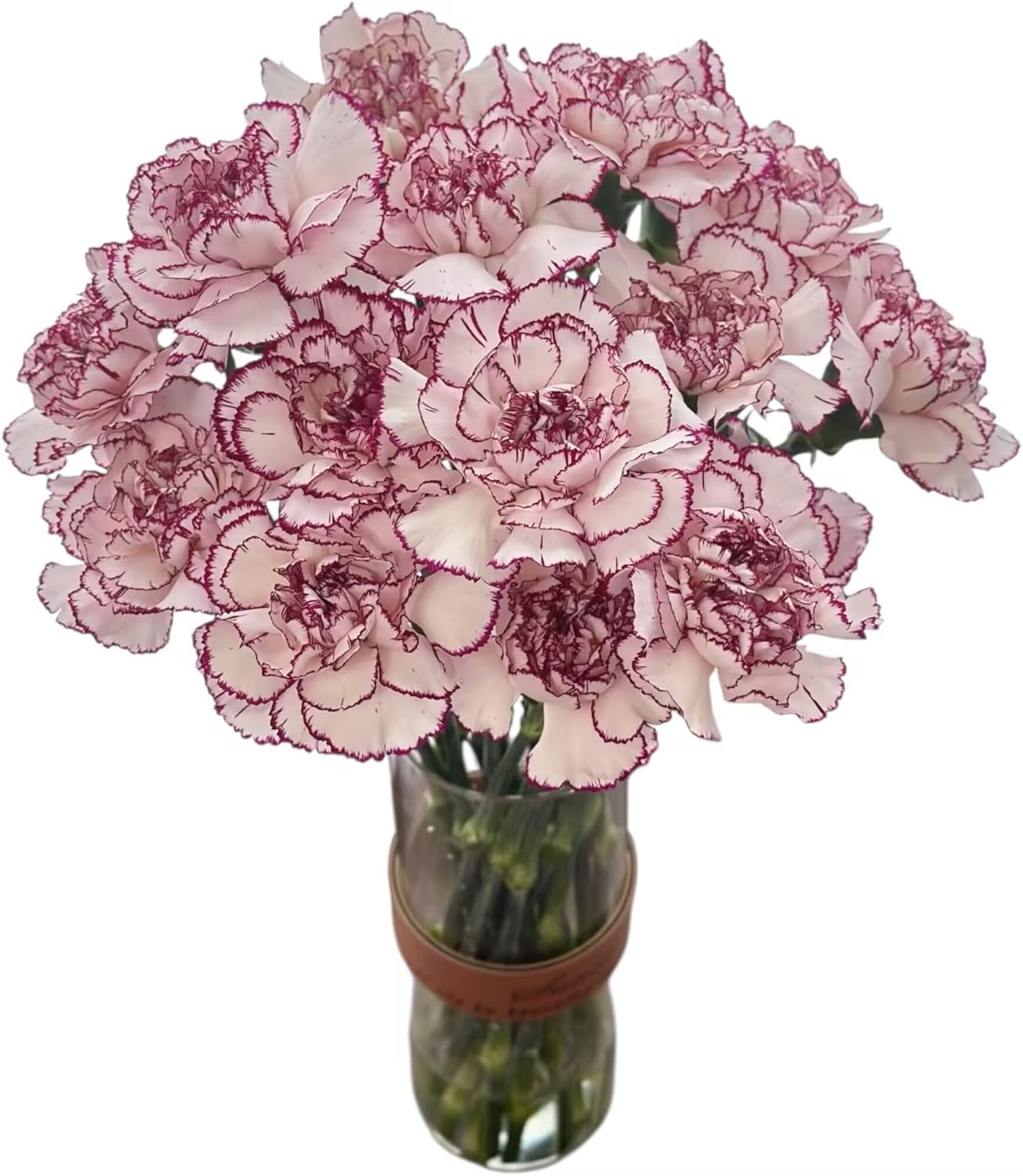 Fresh Cut Flowers Purple wave Carnations 38 Stems Hydroponic Flower Arrangement Gifts for home decoration birthdays anniversaries healing, sympathy friendship and love