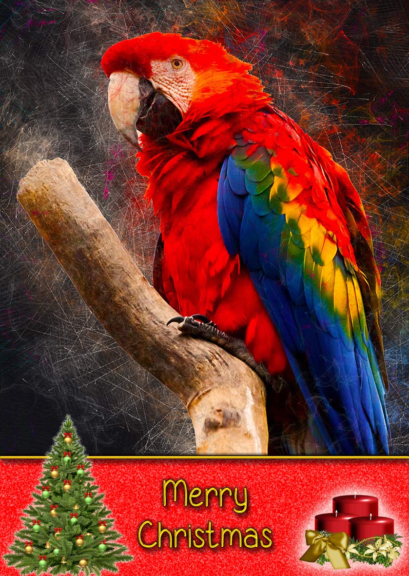 Parrot Bird Animal Christmas Card 'Merry Christmas'