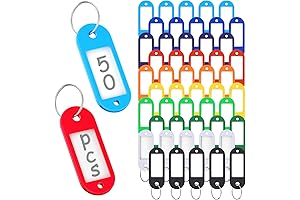 ttstar 50 Pack Plastic Keychain Bulk Pack for Easy Identification
