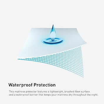 Bedgear BGBasic Mattress Protector, Queen