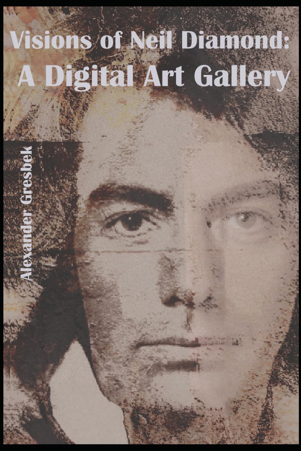 Visions of Neil Diamond: A Digital Art Gallery