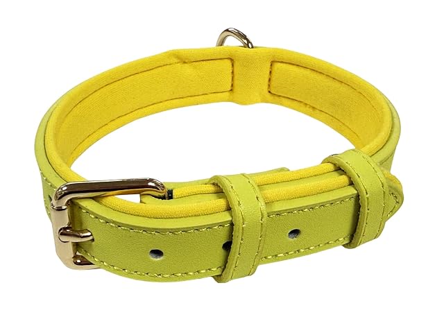 Foto 2 de 6 de Collar de perro ajustable de piel auténtica vibrante con acolchado de neopreno suave