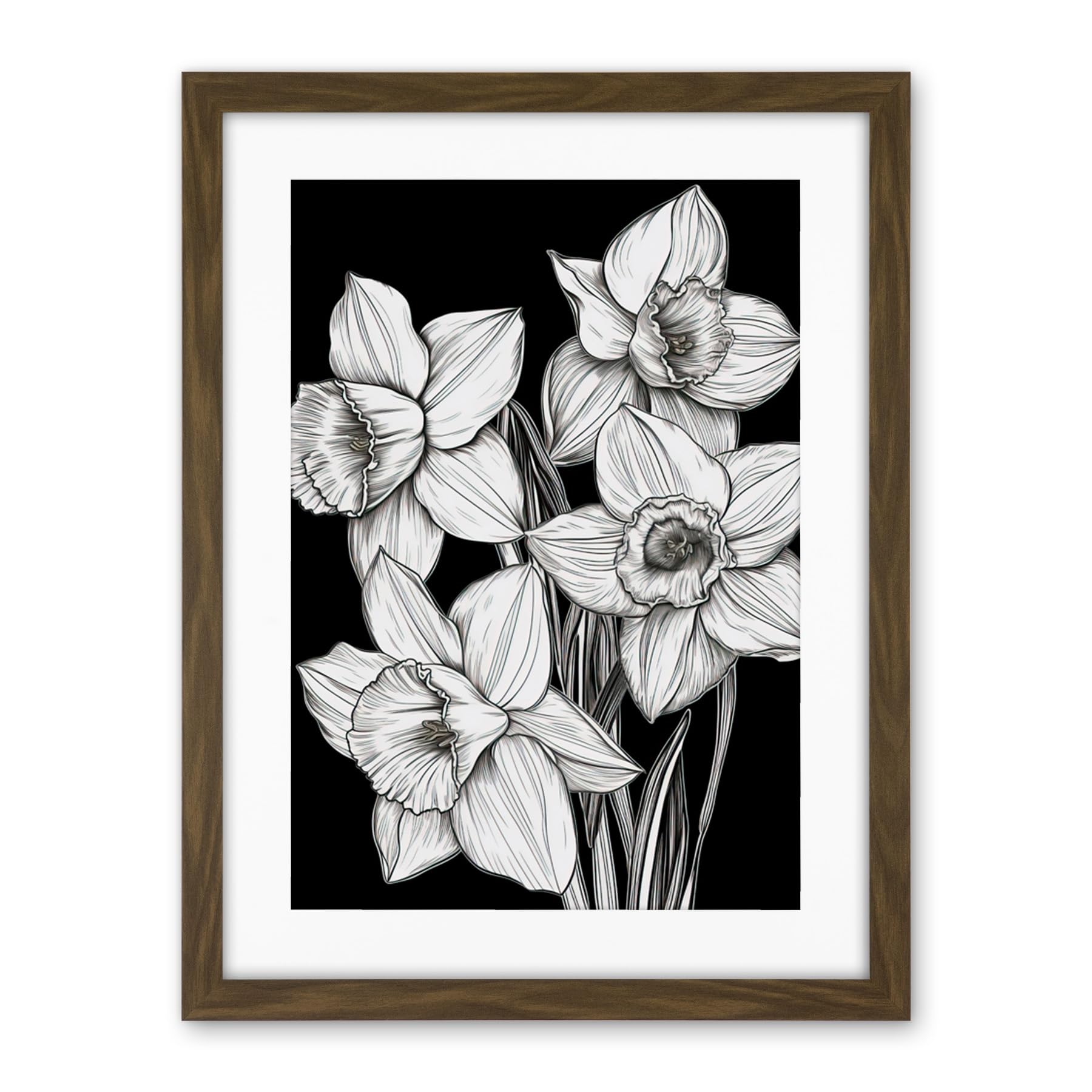 Artery8 Daffodil Wildflower Plant Blooms Black and White Artwork Framed Wall Art Print 18X24 Inch
