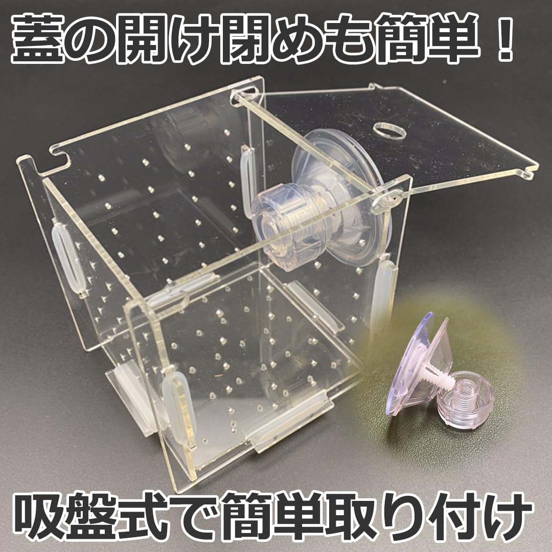 Amazon | スタートサイド 稚魚 水槽内用 繁殖隔離ボックス 隔離吸盤