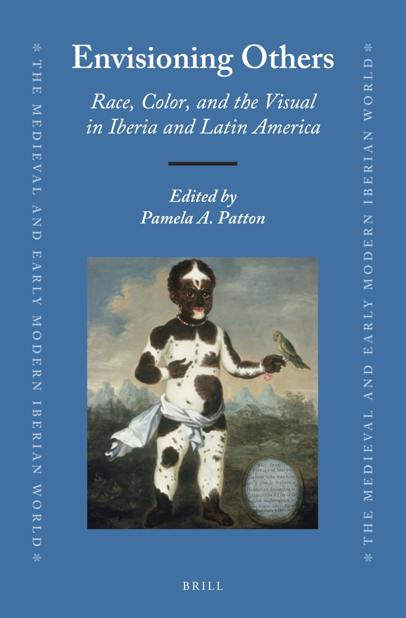Envisioning Others: Race, Color, and the Visual in Iberia and Latin America: 62 (The Medieval and Early Modern Iberian World, 62)