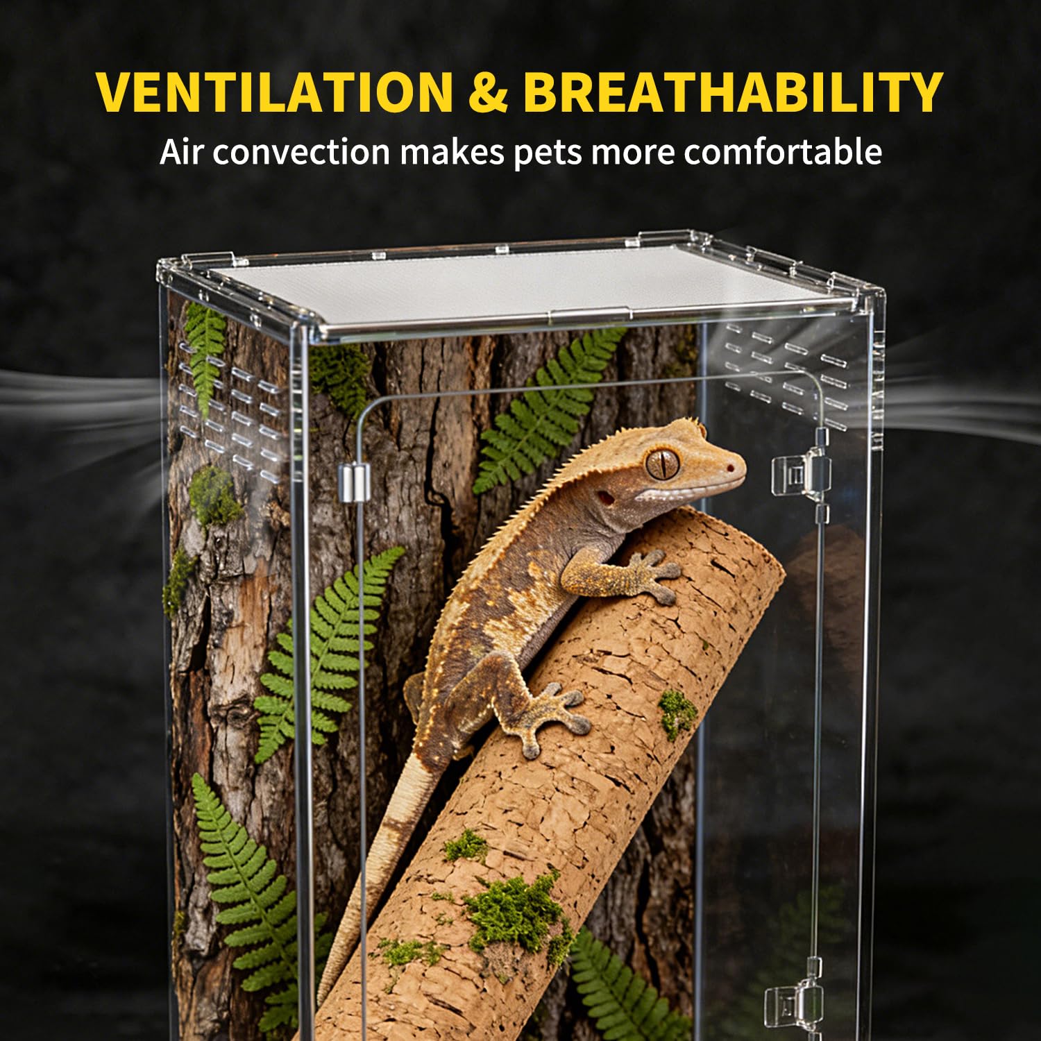 Terrario Alto para Reptiles, 11 GAL, hábitat de 12"x12"x18" con Puerta Frontal y ventilación Superior con Pantalla para Geckos, Ranas arborícolas, Camaleones y Dragones barbudos