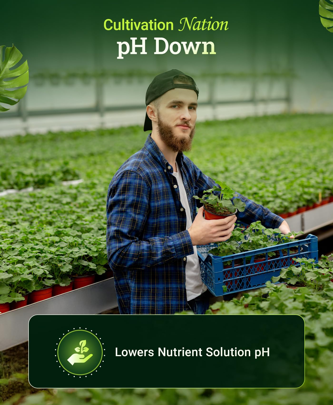 Amazon.com : FoxFarm Cultivation Nation pH Down for Plants