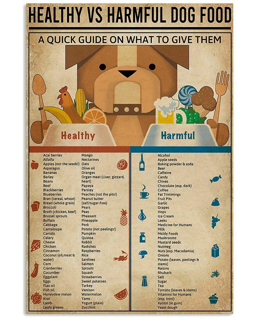 rayprint Dog Food Knowledge Metal Signs Wall DecorVs Harmful Dog Food Posters Wall Decor Farm Deocr Home Decor Pet Shop Printing Plaque 8x12 Inches