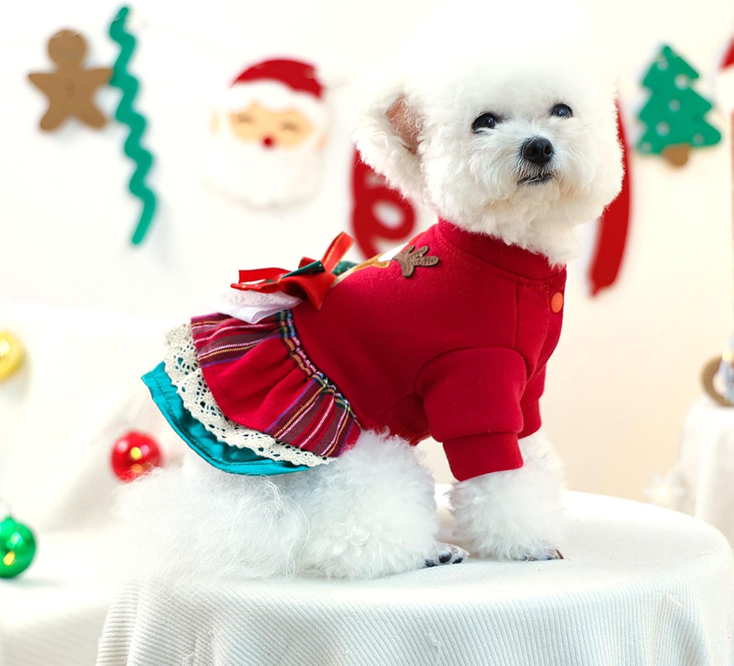 BAEJMJK Cute Small Dog Christmas Dress Xmas Red Reindeer Puppy Princess Dress with Bowknot Warm Holiday Girl Dog Clothes Pet Cats Outfit Apparel for Chihuahua Yorkshire Terriers, Maltese(Large)