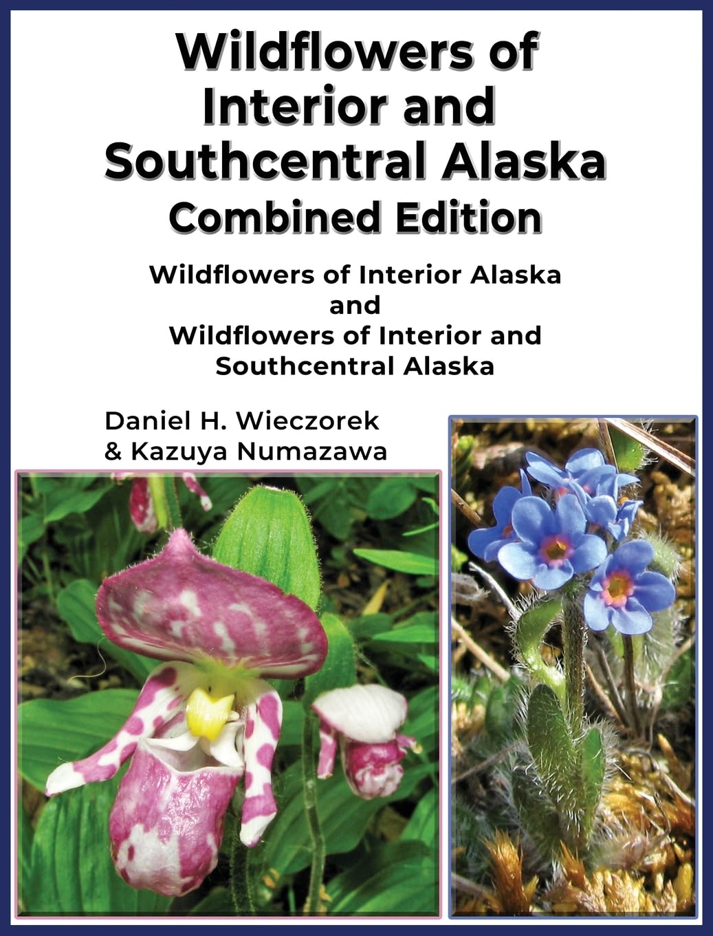 Livre de botanique fleurs sauvages d'Alaska édition combinée