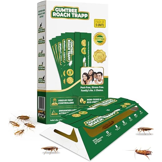 Gumtree Roach Trap - Pack of 5