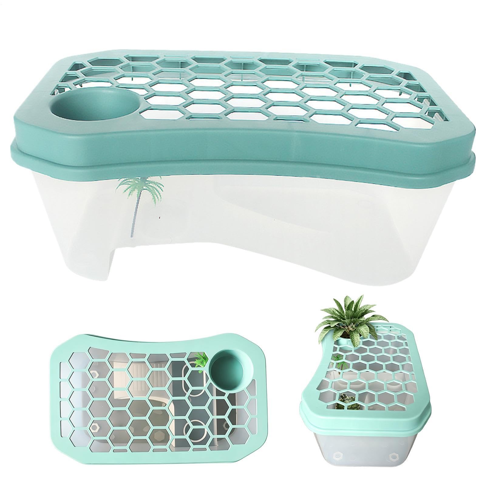 Terrario acuático para tortugas de agua y ranas en escritorio
