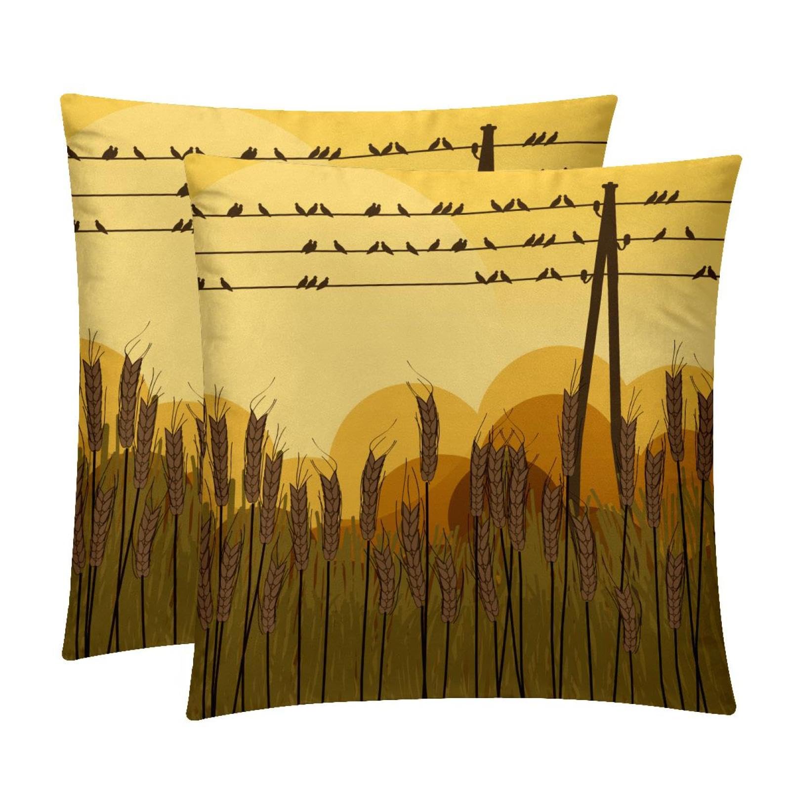 TDGKPZ Birds On Wires Throw Pillow Covers 2 Pack Pillowcases Soft Cozy Pillow Cases For Couch Bed Sofa 40x40cm