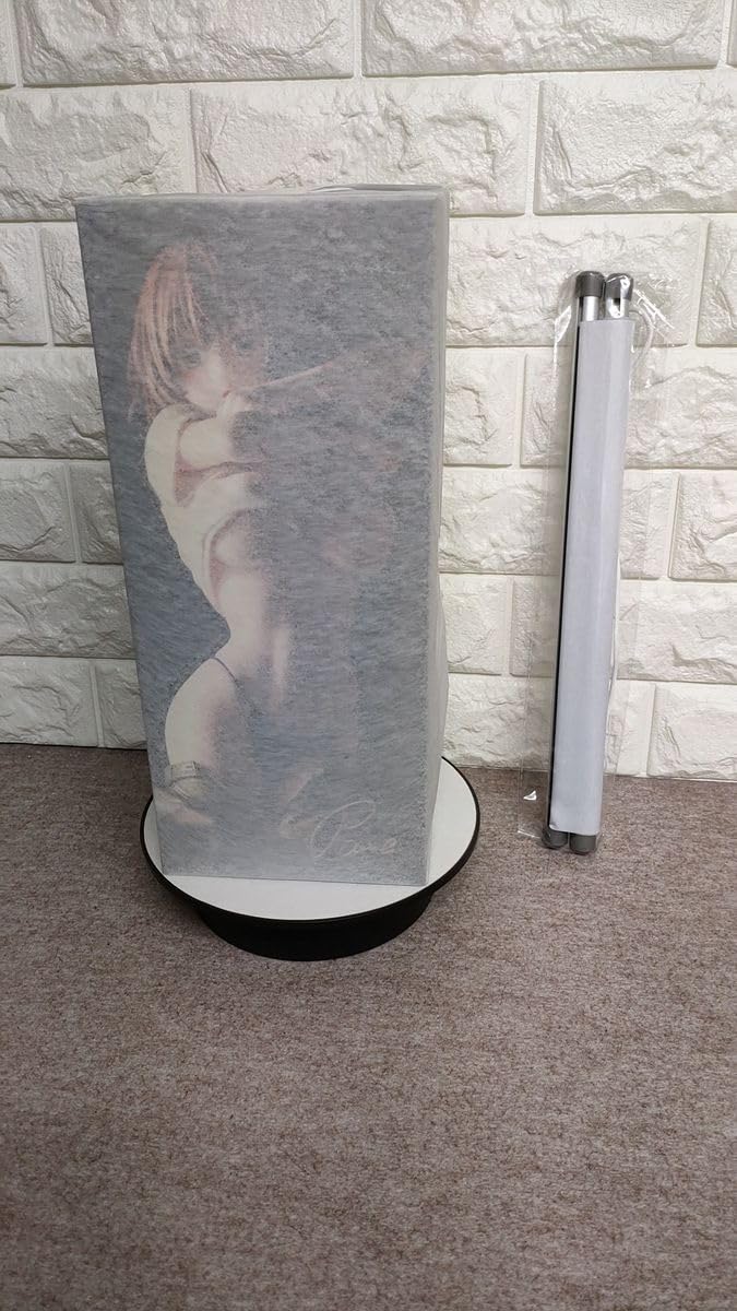 Astrum Design オリジナルパイロット パイロットお姉さん Amazon.co.jp: ASTRUM DESIGN MISS PILOT パイロットお姉さん (特典