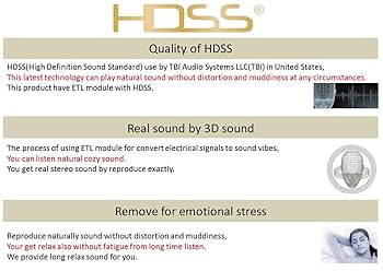(未使用･未開封品)　アクセス AXES HDSS イヤフォン AH-HD98 BL ブルー wyeba8q Amazon.co.jp: アクセス AXES HDSS イヤフォン AH-HD98 BL