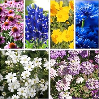 Outsidepride Texas/Oklahoma Wildflower Seed Mix - 1 LB