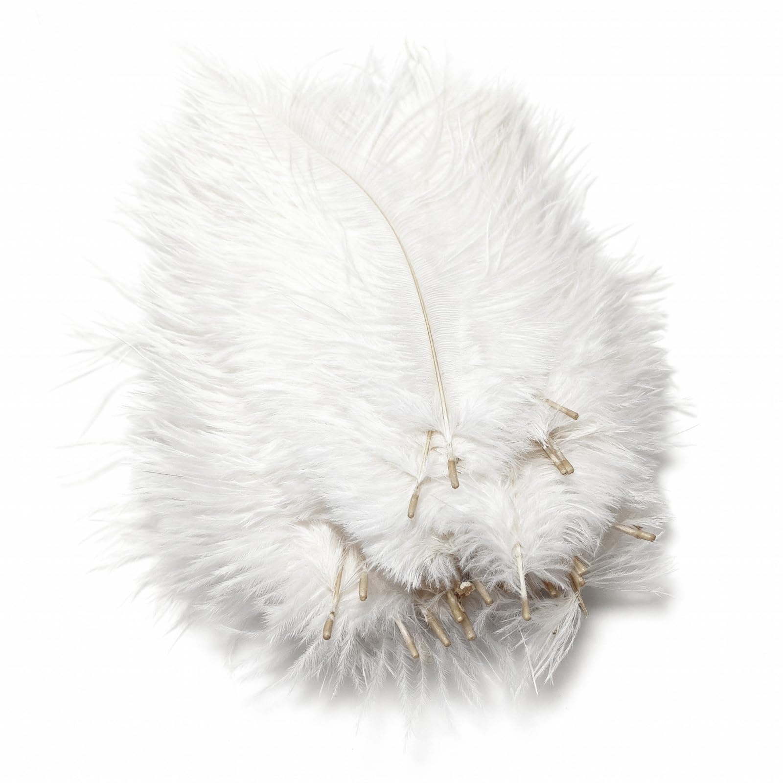 50 Piume Di Struzzo Naturali - 15-20 Cm, Bianche, Pulite E Sterilizzate, Per Decorazioni Fai Da Te E Artigianato