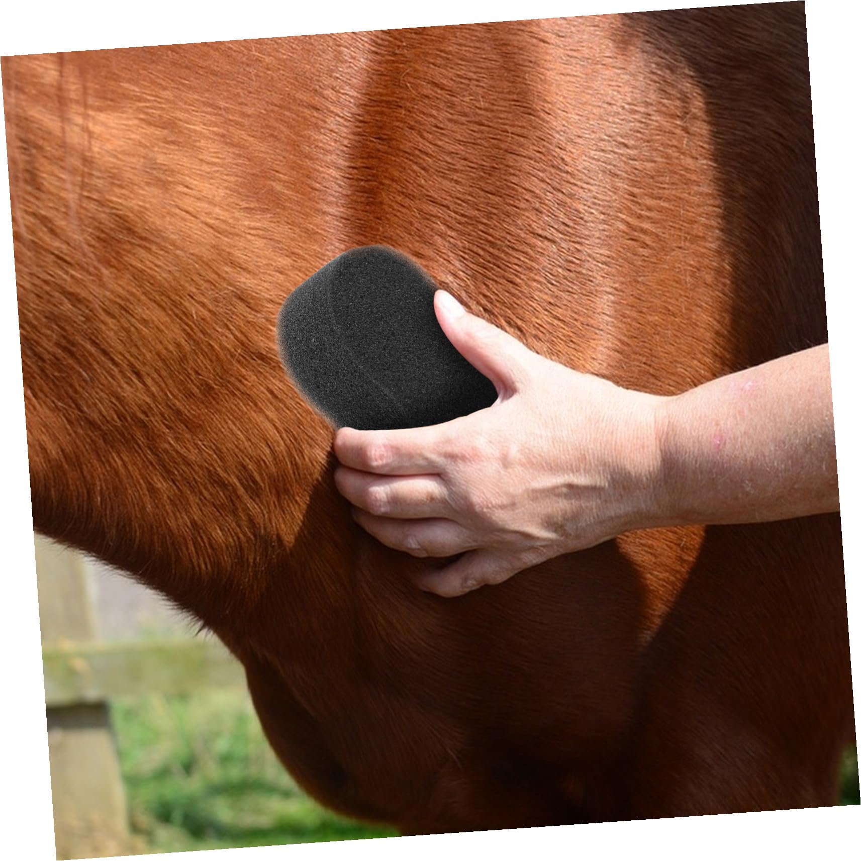 Genérico Esponjas Grandes para Limpieza Corporal de Equinos 5 Piezas 20x11 Cm, Esponjas Suaves para Cuidado y Baño de Mascotas, Herramienta Práctica para Aseo Diario de Caballos
