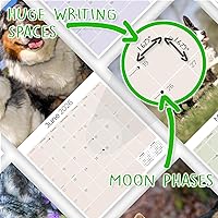 Vista 735 de Razas de Perros 2017