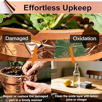 Copper Slug Tape, 20mm Wide x 24.8M Long(2 Pack), Slug & Snail Repellent Copper Foil Tape, Weatherproof Humane Snail Control, Indoor & Outdoor Use, Ideal for Flower Pots and Garden Plant Protection