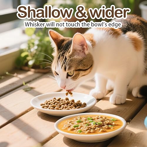 Miniatura 4 de Juego de 6 cuencos de comida para gatos, cuencos de cerámica para gatos, antifatiga y antibigotes, platos anchos y poco profundos para alimentos