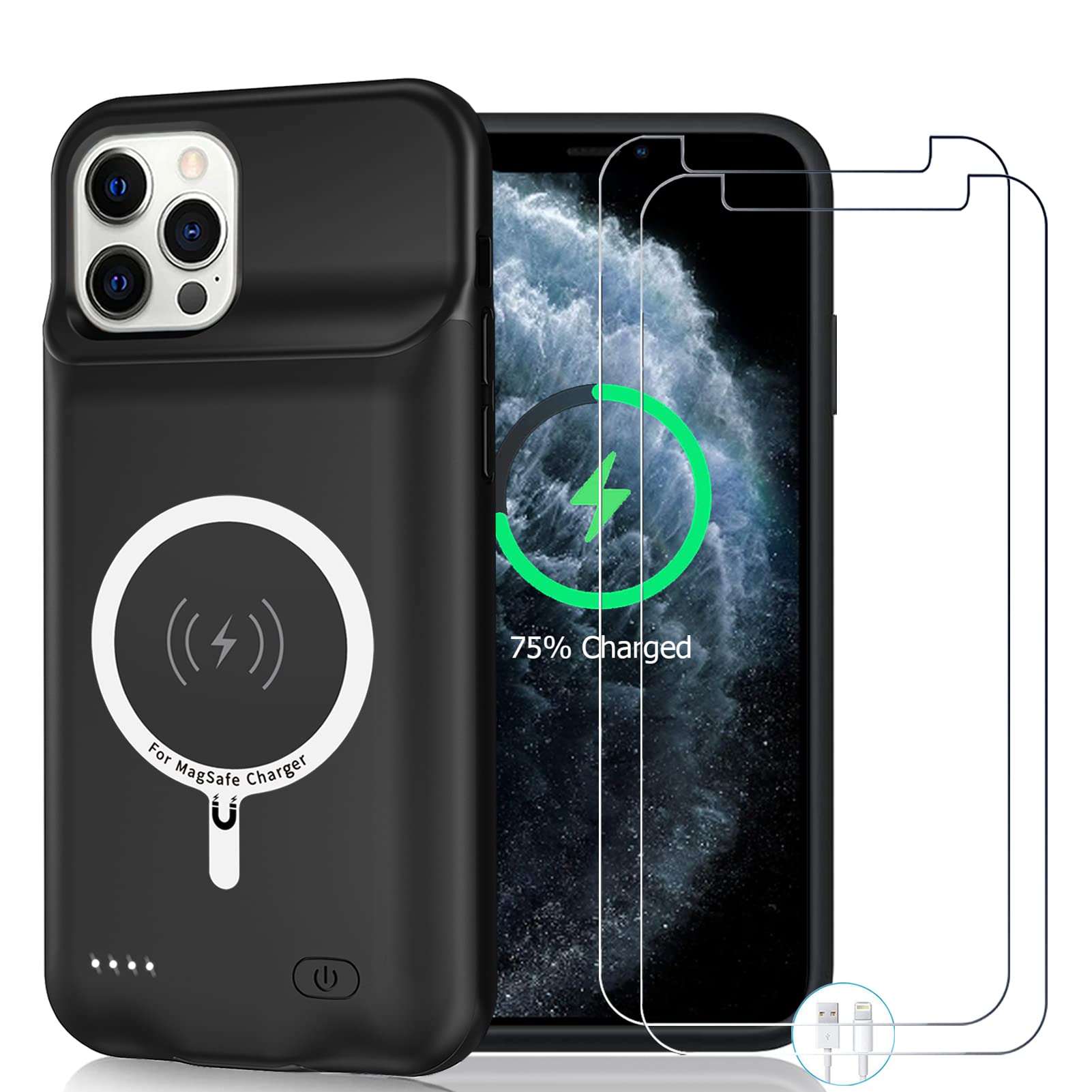 Wireless Charging 11 Pro Max Magnetic Case Iphone 11 Pro Case That