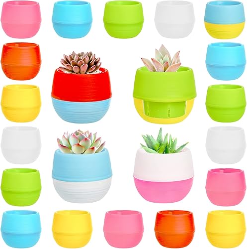 Elsjoy Paquete de 30 mini macetas para suculentas, macetas de plástico de 3 pulgadas, macetas pequeñas y lindas para suculentas con drenaje para