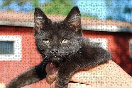 Amazon Lhjoy ジグソーパズル大人500ピース猫黒猫猫動物子供女の子のための誕生日プレゼントとホリデーギフト 52x38cm おもちゃ おもちゃ