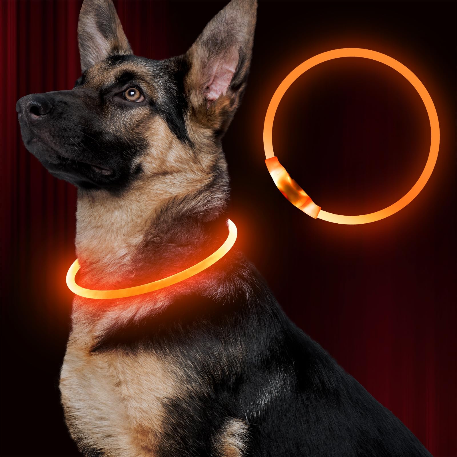 BSEEN Collar LED para perro, recargable por USB, collar de perro brillante para seguridad nocturna, collar de luz de moda para perros pequeños, medianos y grandes (naranja)