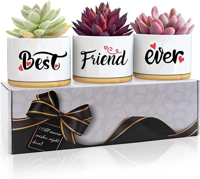 Easymoo Birthday Gifts For Her Friend,Graduation Gifts For Her Friends,Friendship Gifts For Women,Friendship Gifts,Gifts For Friends-Succulent Pot 3 PCS