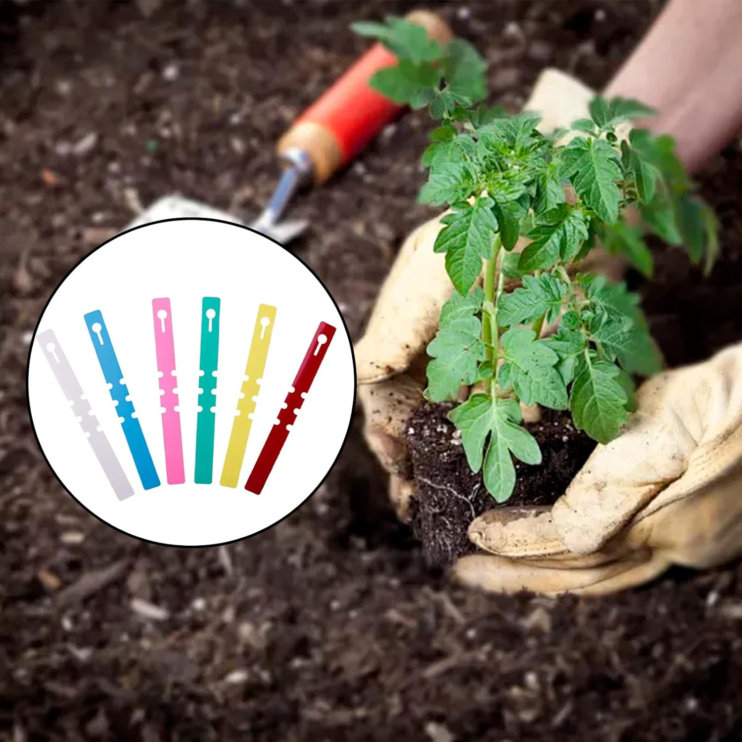 240 Pcs Plastic Plant Tags - Adjustable Wrap-Around Tree Labels, Waterproof Garden Markers with Ample Writing Space for Potted Plants, Nursery & Gardening (Multicolor) - Image 5