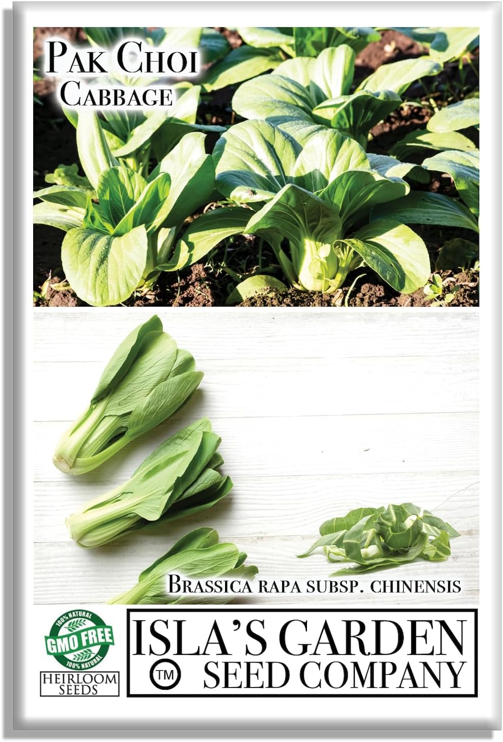 Semillas de repollo Pak Choi para plantar, más de 500 semillas tradicionales por paquete, semillas de jardín de Isla (semillas de jardín de Isla), Semillas de repollo Pak Choi para plantar, más de 500 semillas tradicionales por paquete, semillas de jardín de Isla (semillas de jardín de Isla),