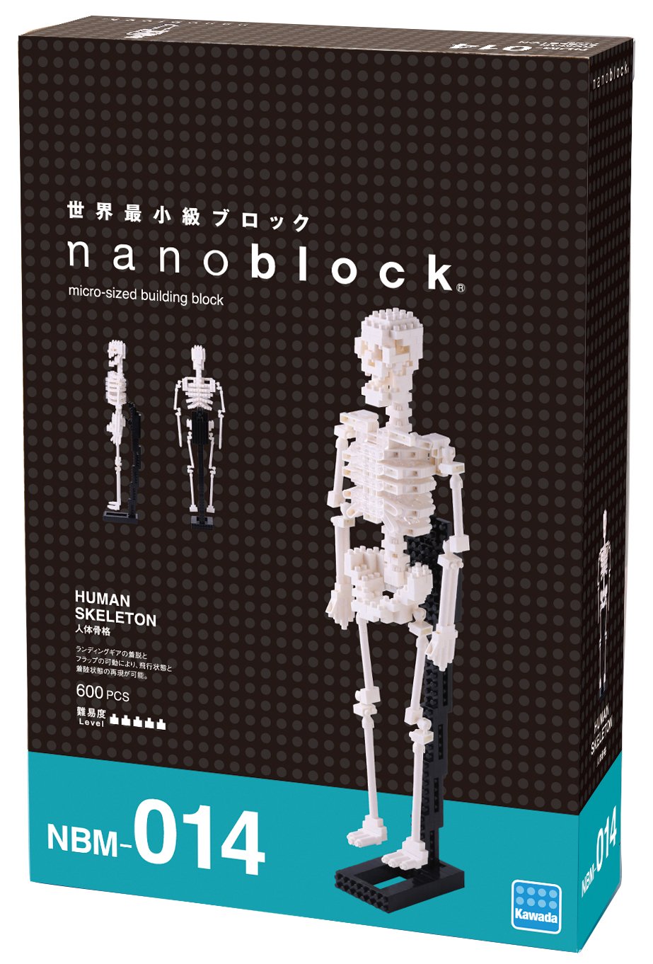 Amazon.co.jp: nanoblock ナノブロック 人体骨格 NBM-014 : おもちゃ