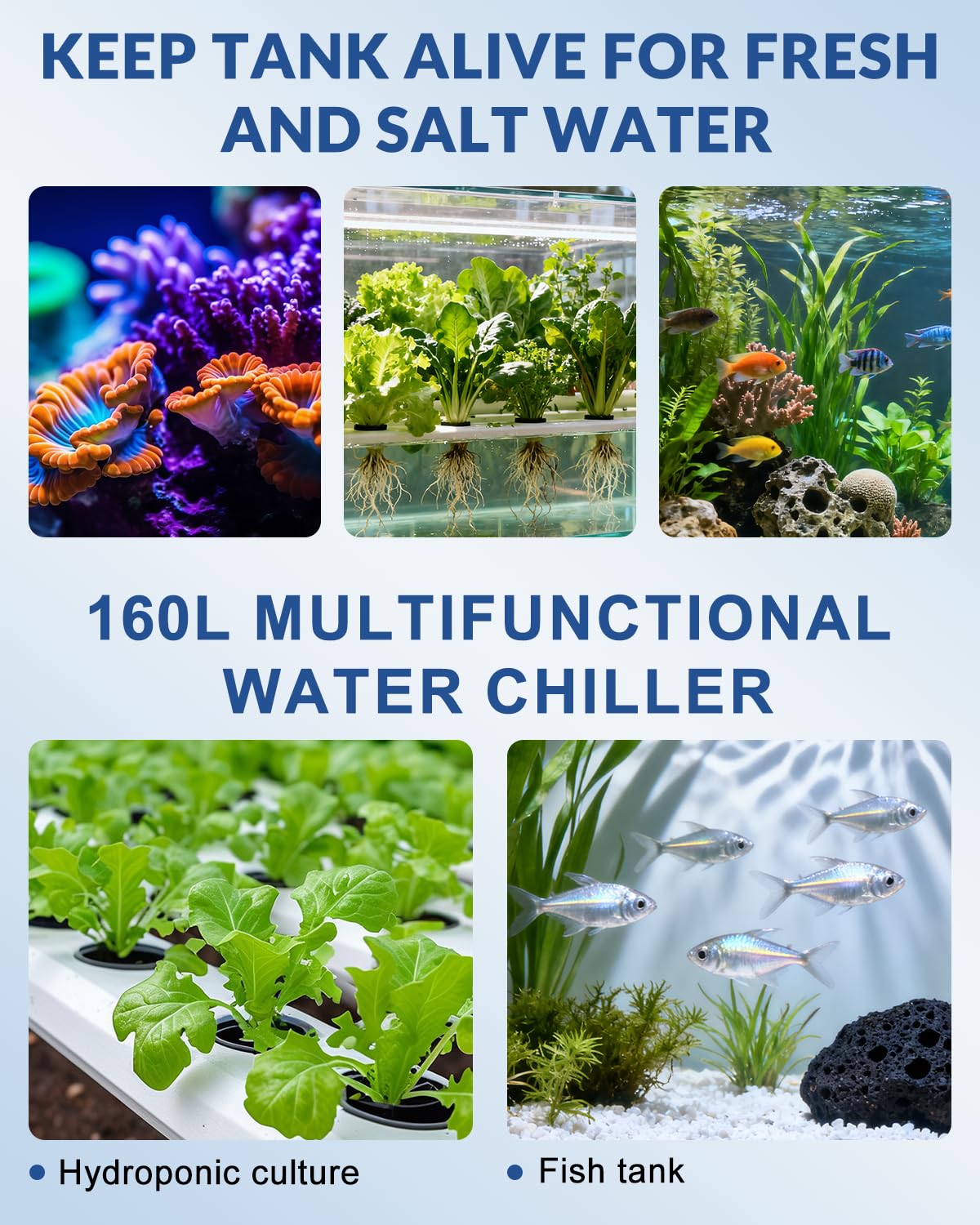 BAOSHISHAN 160L Acquario Refrigeratore d'acqua Chiller Bonus Kit pompa Fish Tank Chiller Frutti di mare Attrezzature per la coltivazione di acqua dolce/salata Erbacce 220 V (Unità: ℃)