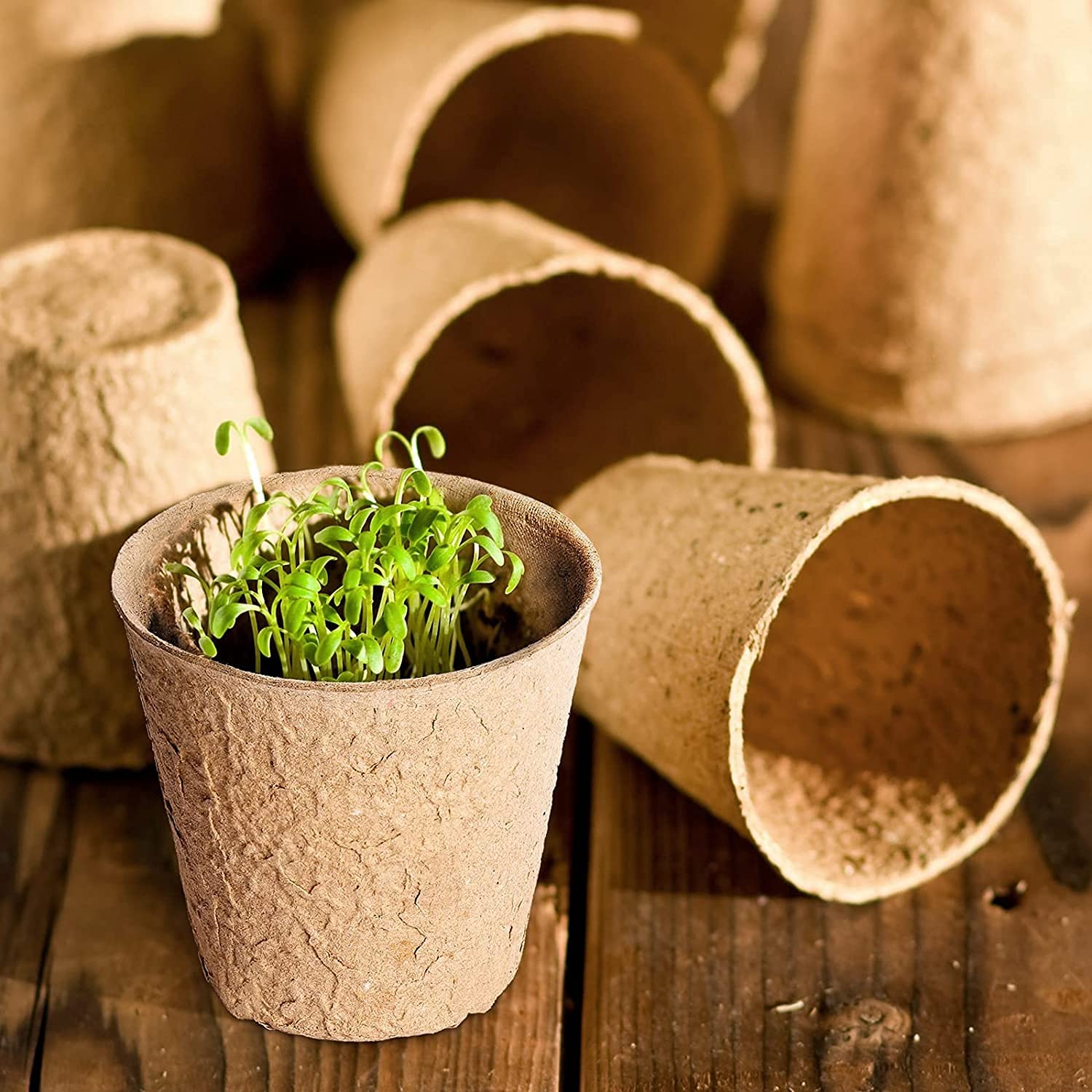 Zuverlässiger Samenstarter, Torftöpfe, Gartenkeimung, Anzuchttöpfe, Bio-Keimung, Pflanzenstarter mit Kunststoff-Pflanzenmarkern, Etiketten für Pflanzen (80, 8 cm Durchmesser)
