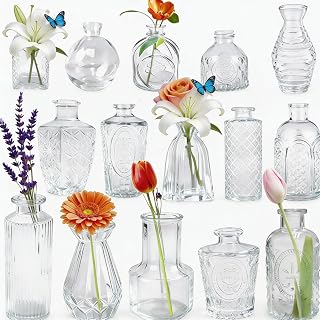 devesanter 15 Stück Mini Vasen Set für Tischdekovasen,Glasvasen für Tischdeko,Väschen Glasflaschen,Vintage-Blumenvasen für Hochzeit Tischdekoration,Geburtstag,Wohnzimmer,Büro