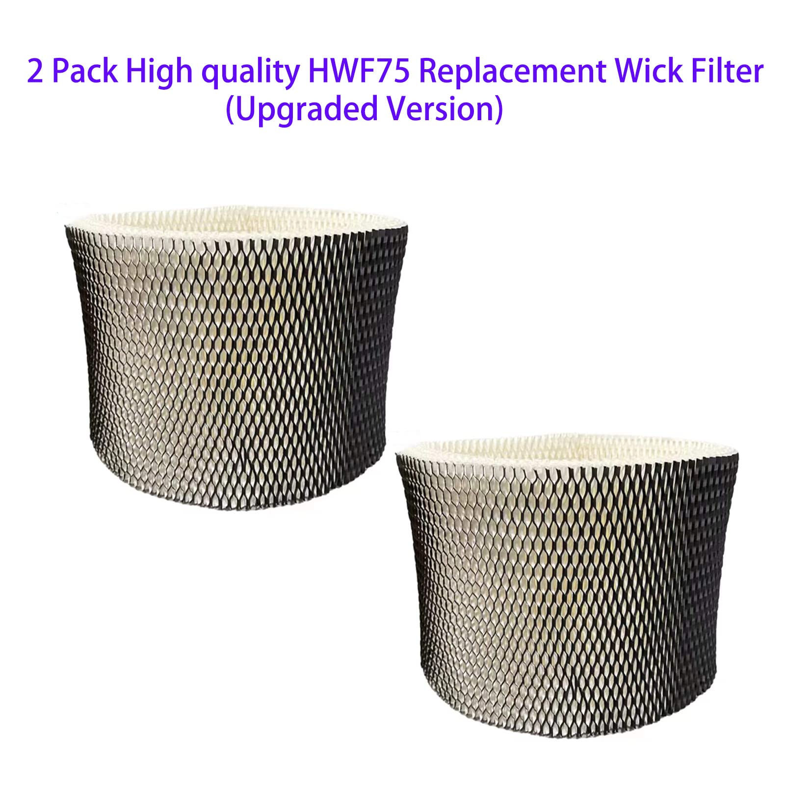 HWF75 - Filtro di ricambio per stoppino Holmes HWF75 HWF75CS HWF75PDQ-U HF222, sostituisce filtro D (confezione da 2)