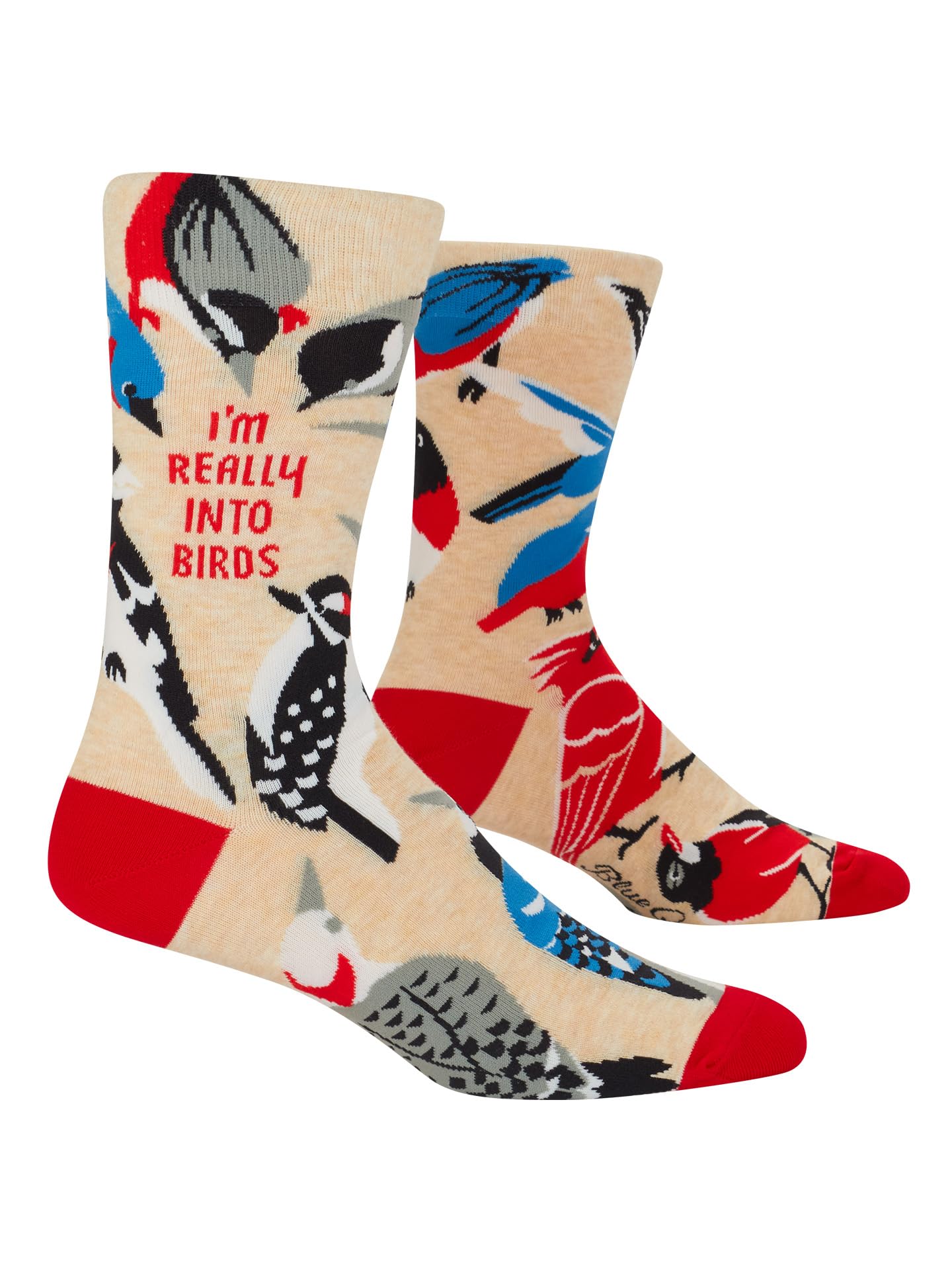 Blue Q Men’s Crew Socks – Funny Novelty Crazy Gift for Dads, Husbands & Guys, Cool Funky Unique Design - Fits Shoe Size 7–12, I'm Really Into Birds, One Size