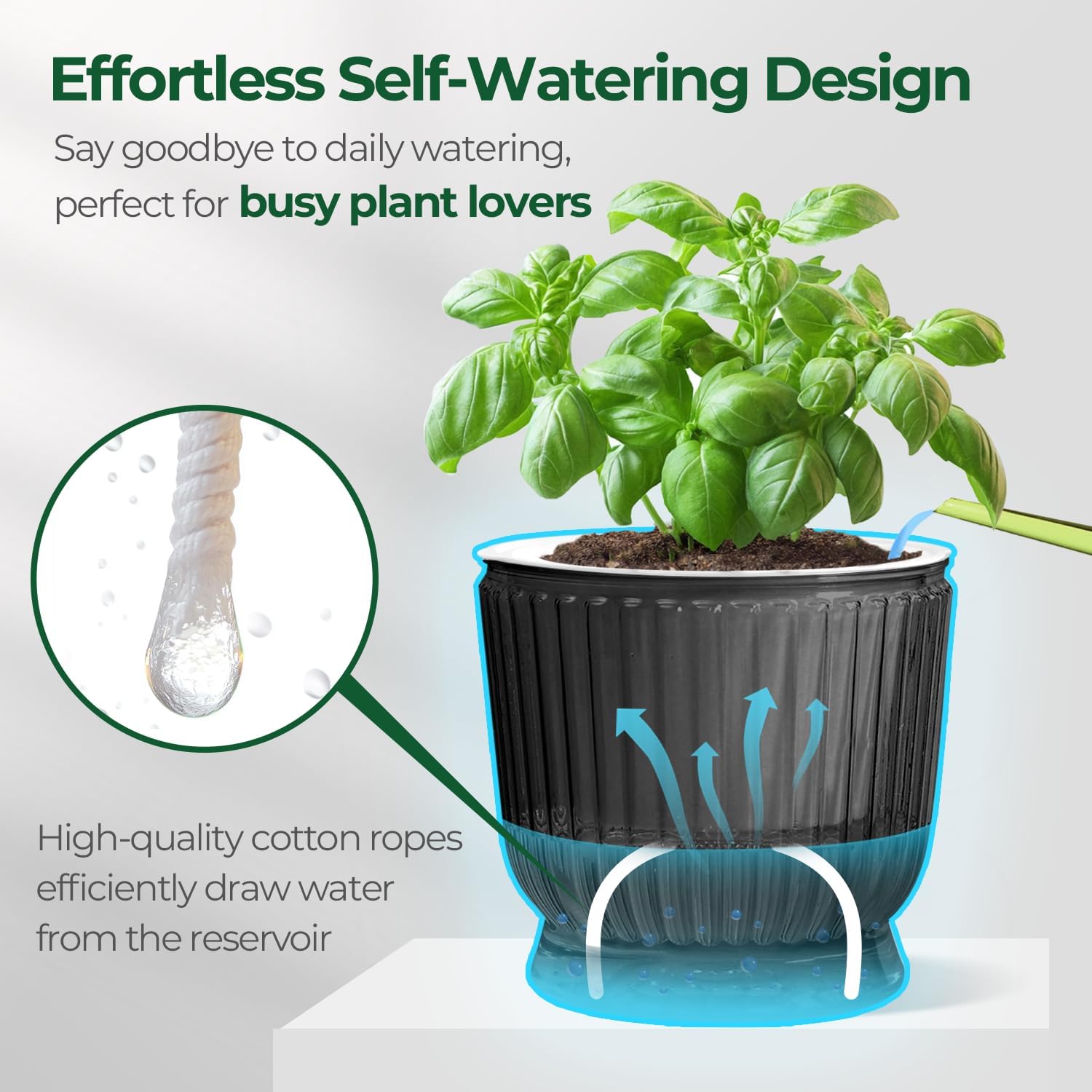 T4U 6 Inch Self Watering Pots for Indoor Plants, 4 Pack Self Watering Planter, Self Watering Pot with Reservoir, Small Self Watering Pots for Plants, African Violets (4 Pack, 6", Translucent Gray) - Image 4
