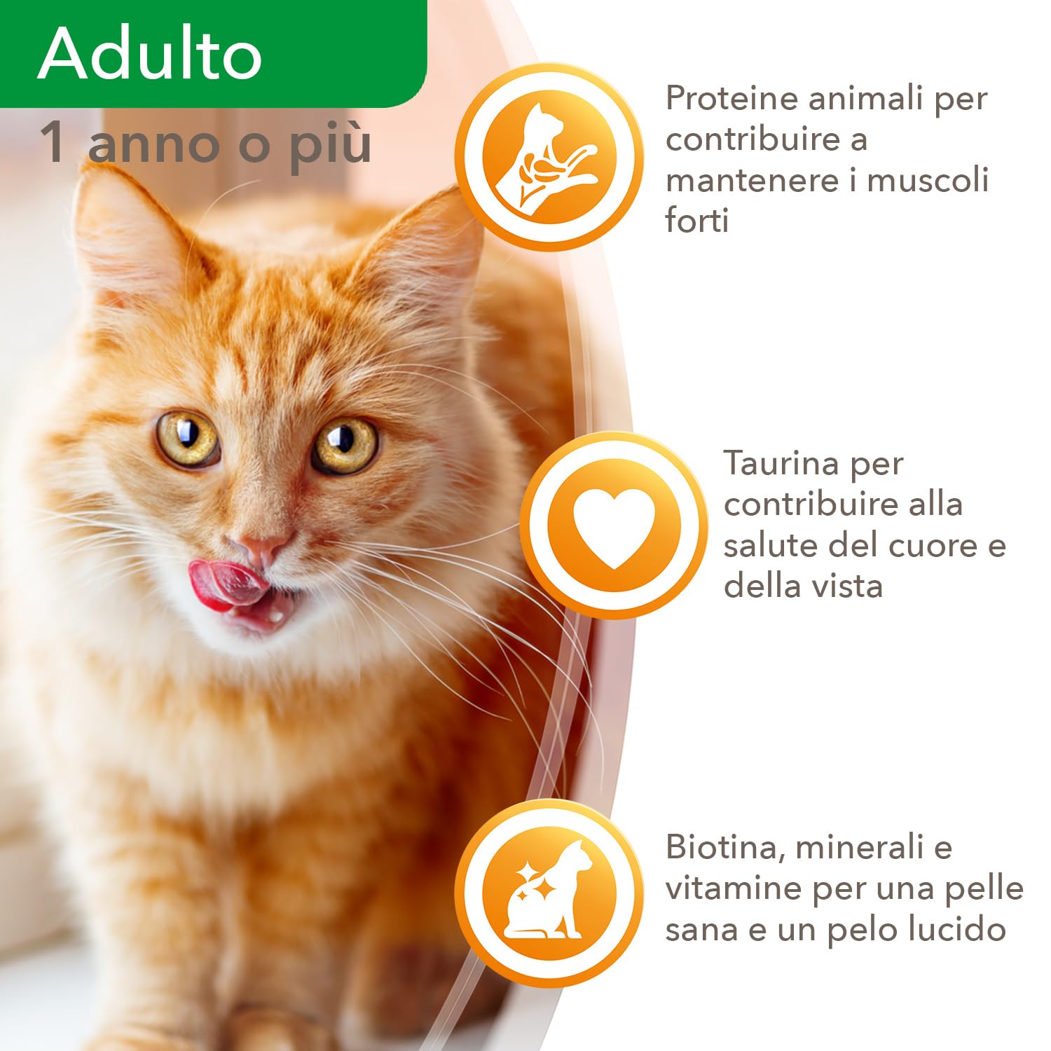 IAMS Delights Land & Sea - Alimento Umido Per Gatti Anziani, 12 Lattine Da 85g In Salsa - Foto 12